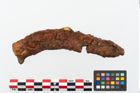 Etikett zu Eisenmesser (NHMW-PRAE-003464)